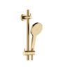 FNZ455109UB-2 FNZ455109UB Urban Brass Twin Shower Rail