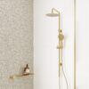FNZ455109UB-3 FNZ455109UB Urban Brass Twin Shower Rail