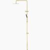 20240926095108 NRO2105ABG Brushed Gold Twin Shower Rail