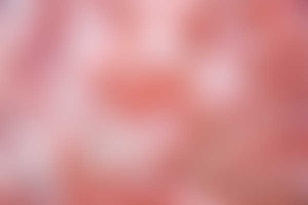 Rose quartz known as the heart stone will attract love.