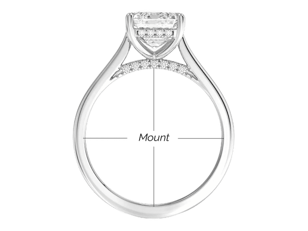 Explaining the mount on a ring.