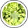 Peridot Energy
