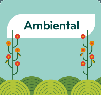 Ambiental