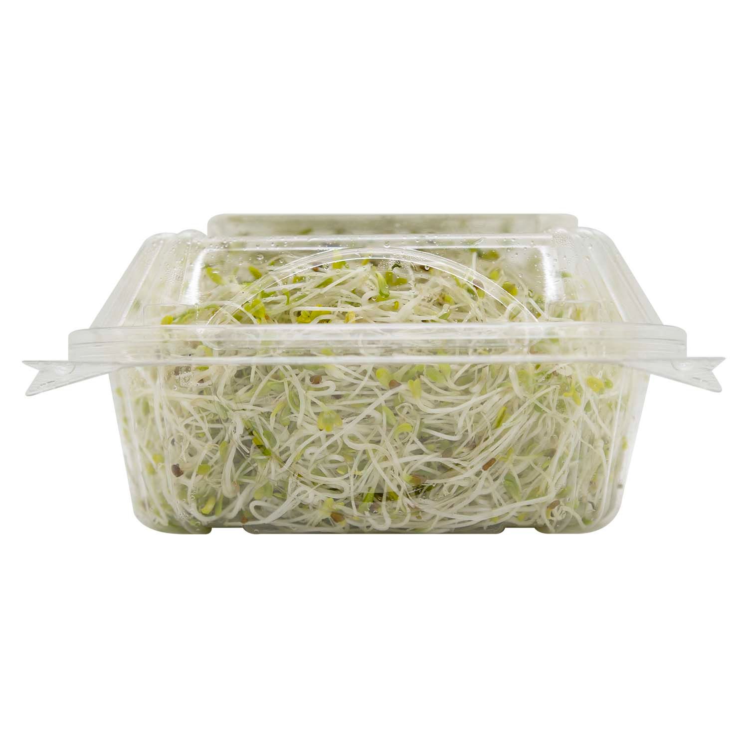 Germinado Alfalfa Auto Mercado Bandeja 90 G