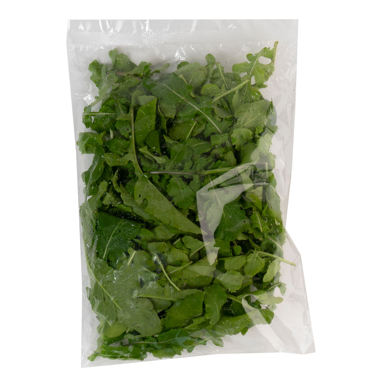 Lechuga Arugula Hidroponica Auto Mercado Paquete 100 G