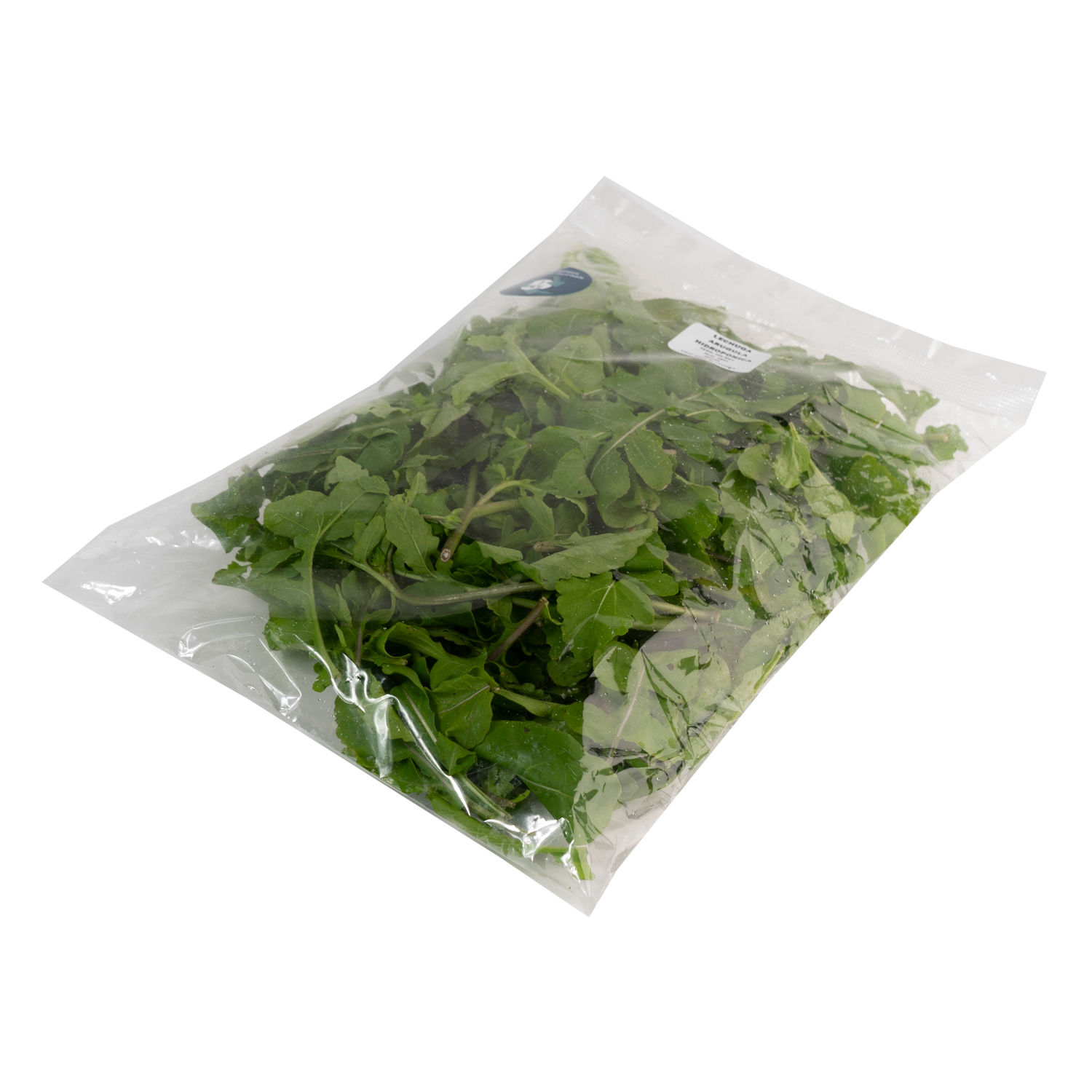 Lechuga Arugula Hidroponica Auto Mercado Paquete 100 G