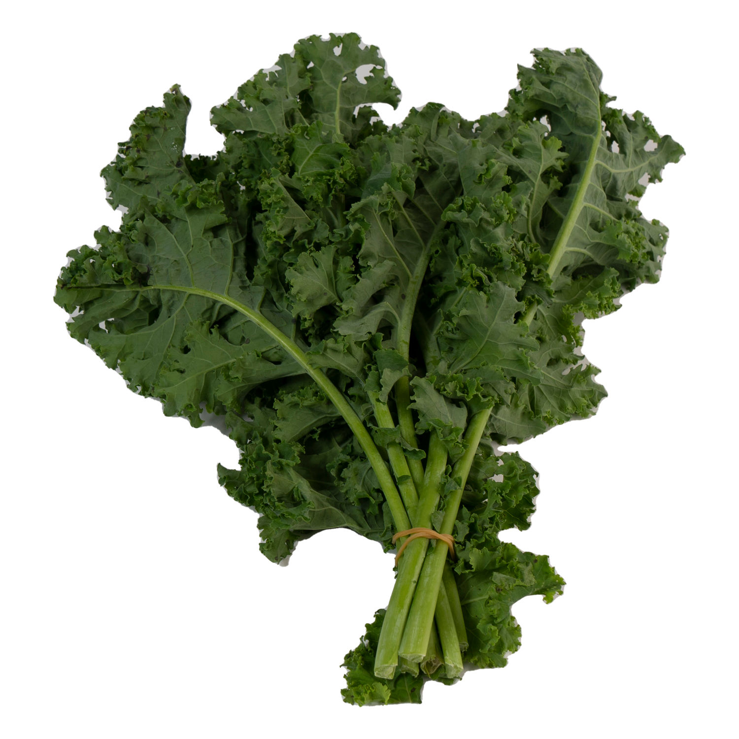 Lechuga Kale Auto Mercado Rollo 100 G