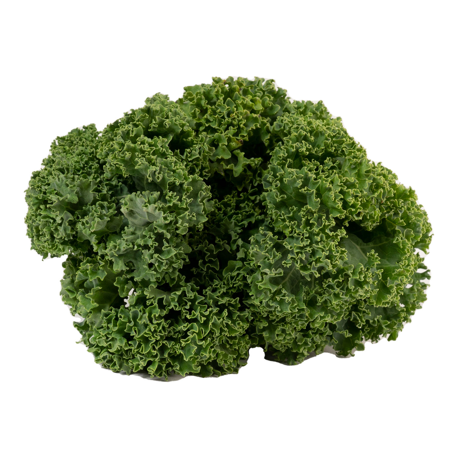 Lechuga Kale Organica Auto Mercado Rollo 100 G