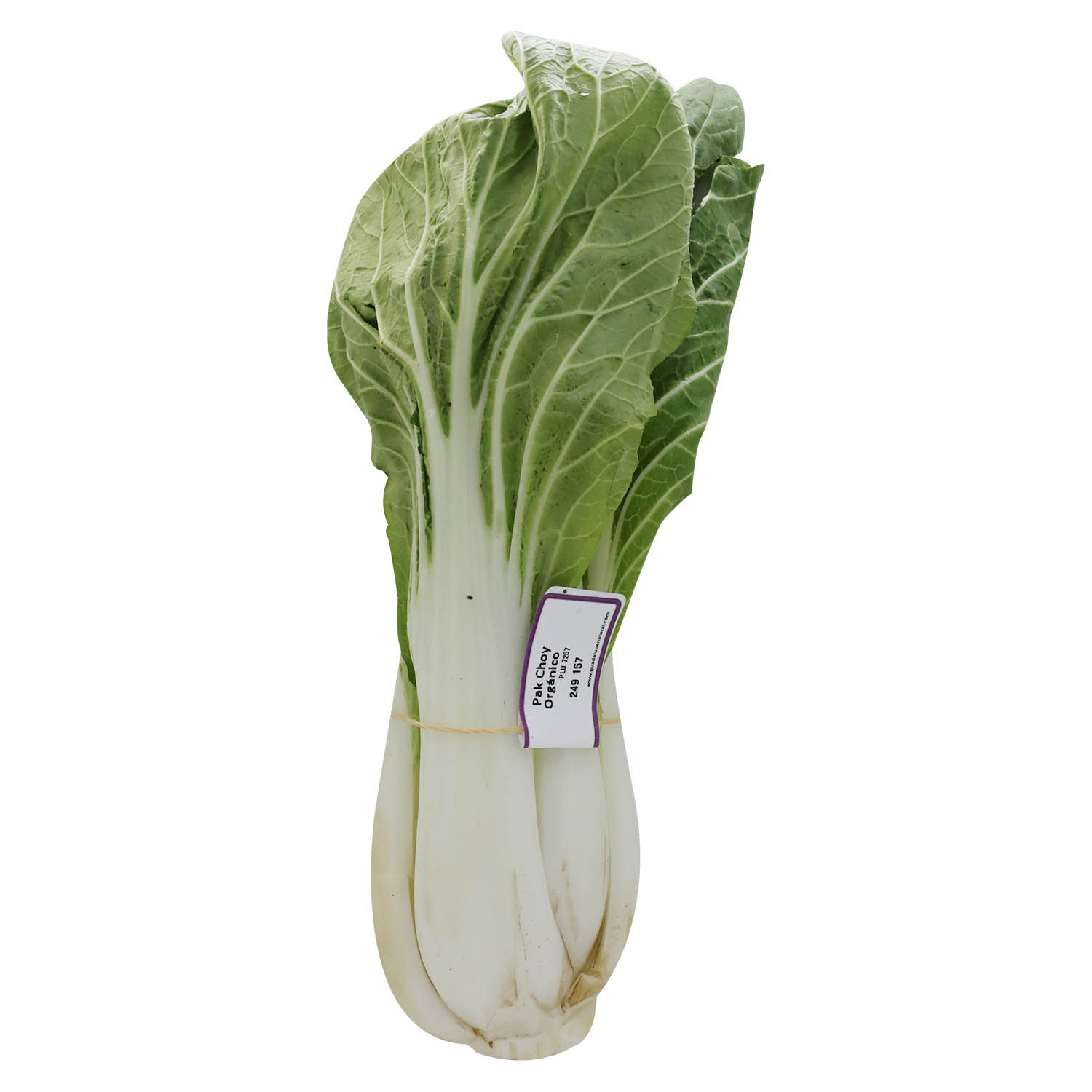 Lechuga Pak Choi Organica Auto Mercado Unid