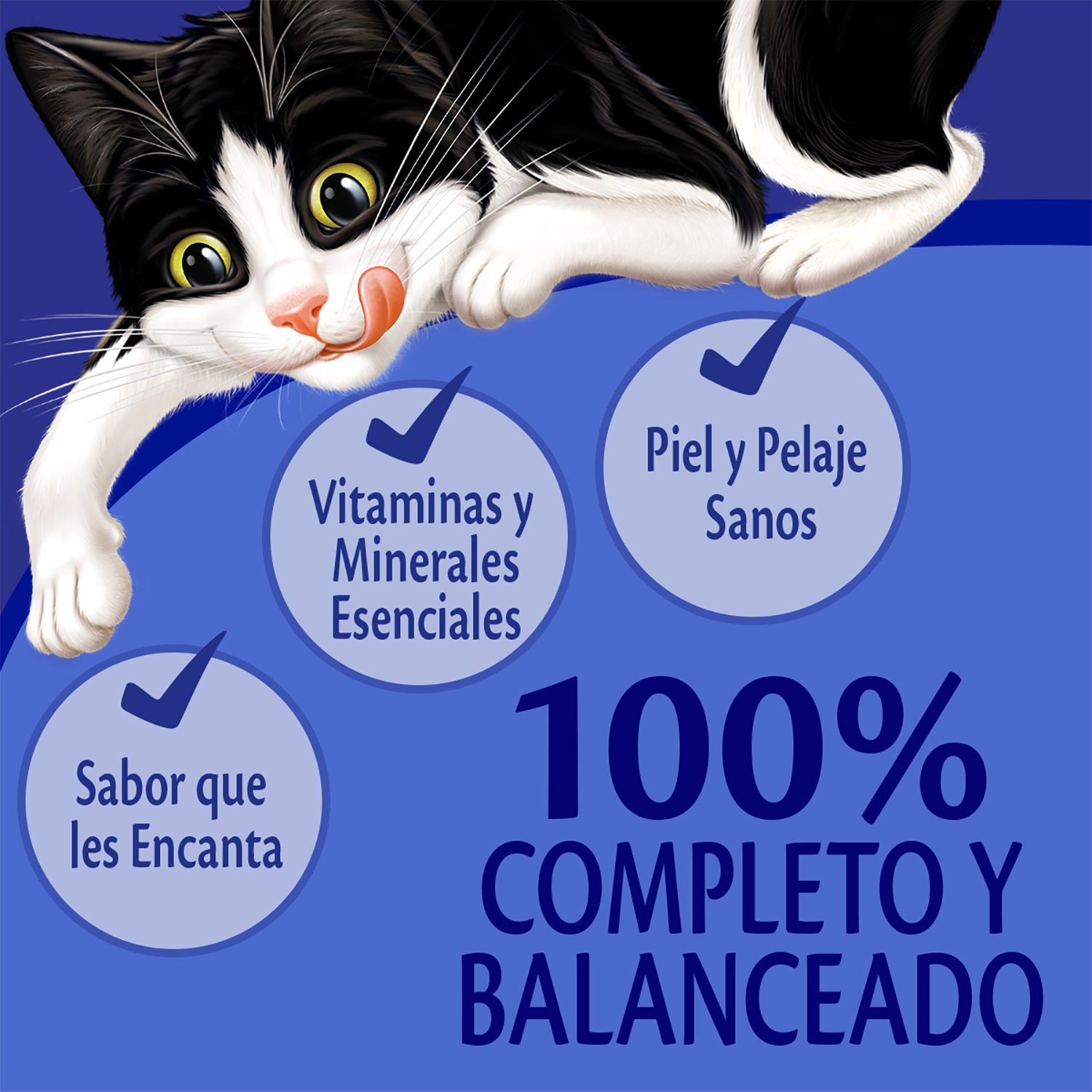 Alimento Gato Adulto Humedo Salmon Felix Bolsa 85 G