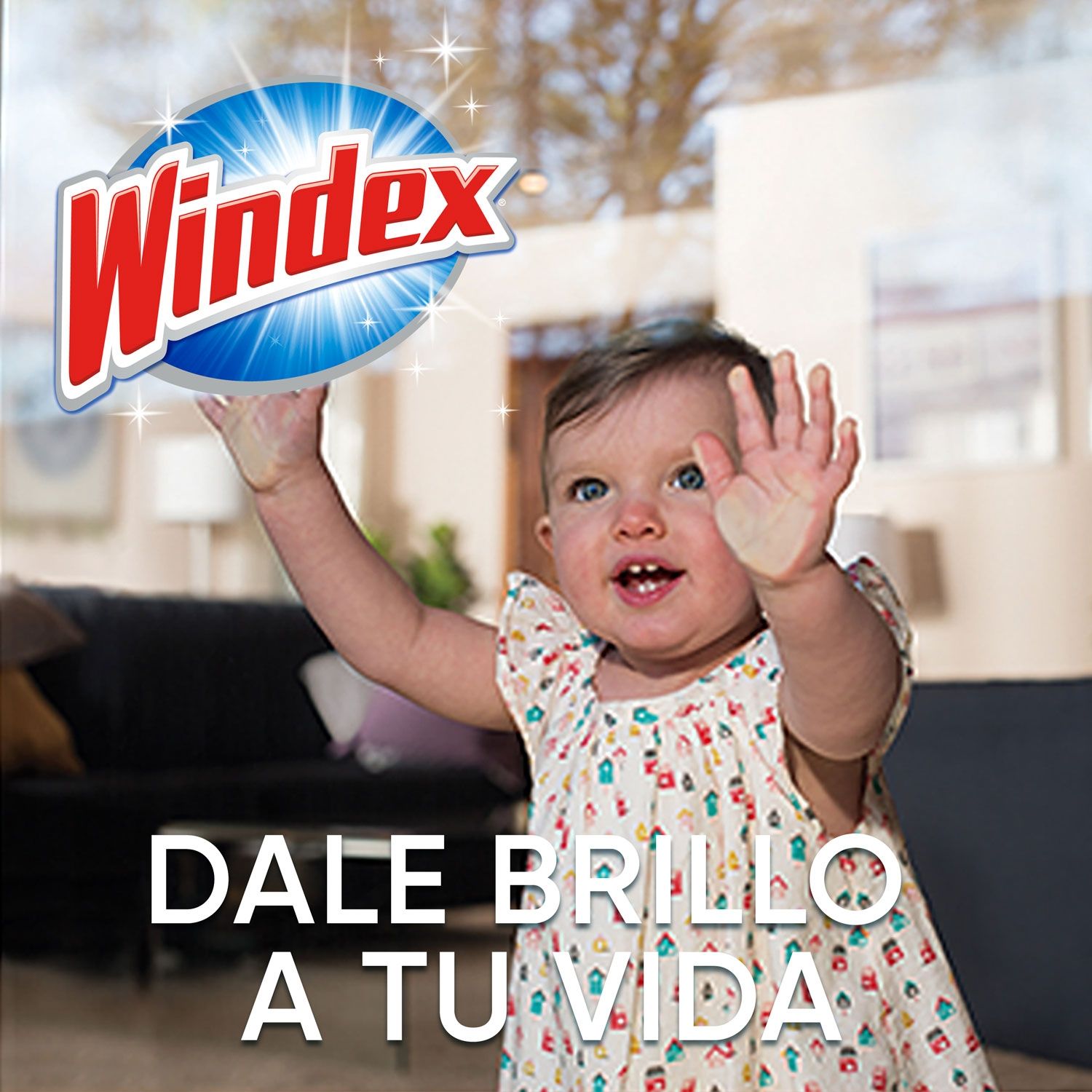 Limpiador Vidrio Liquido Sin Amoniaco Windex Bolsa 500 Ml