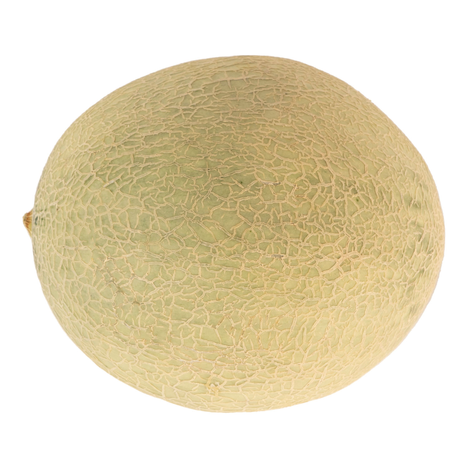 Melon Criollo De Exportacion Auto Mercado