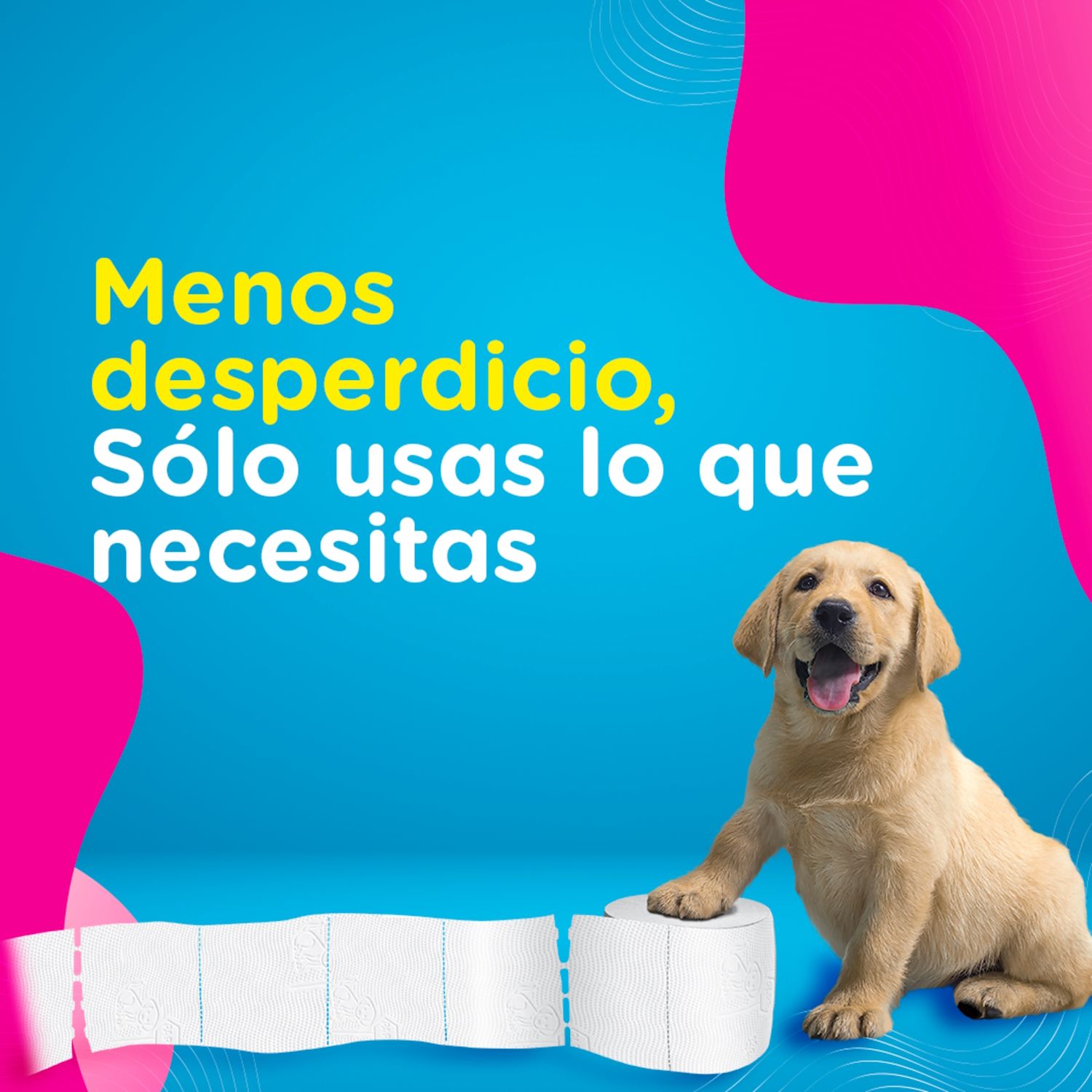 Papel Higienico Doble Hoja Rindemax 2632,5 G Scott