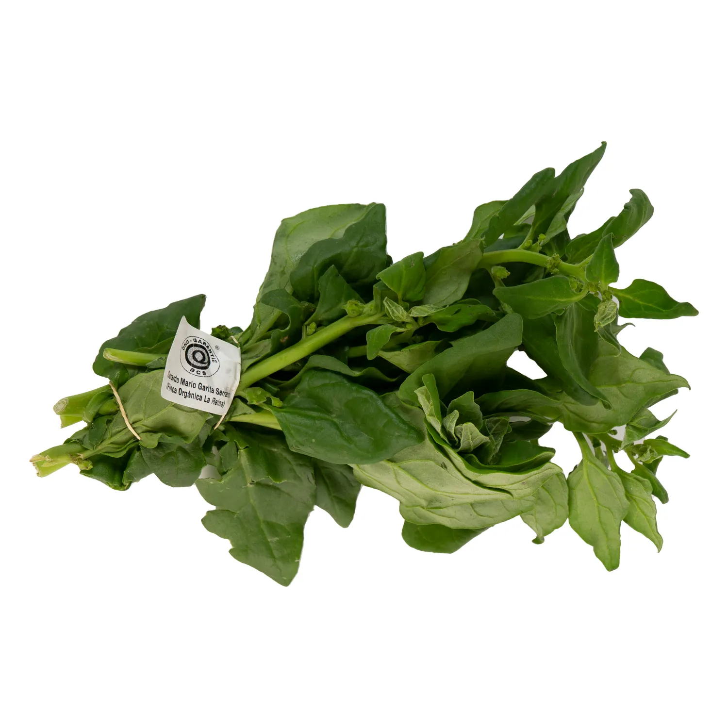 Espinaca Criolla Organica Auto Mercado Rollo Unid