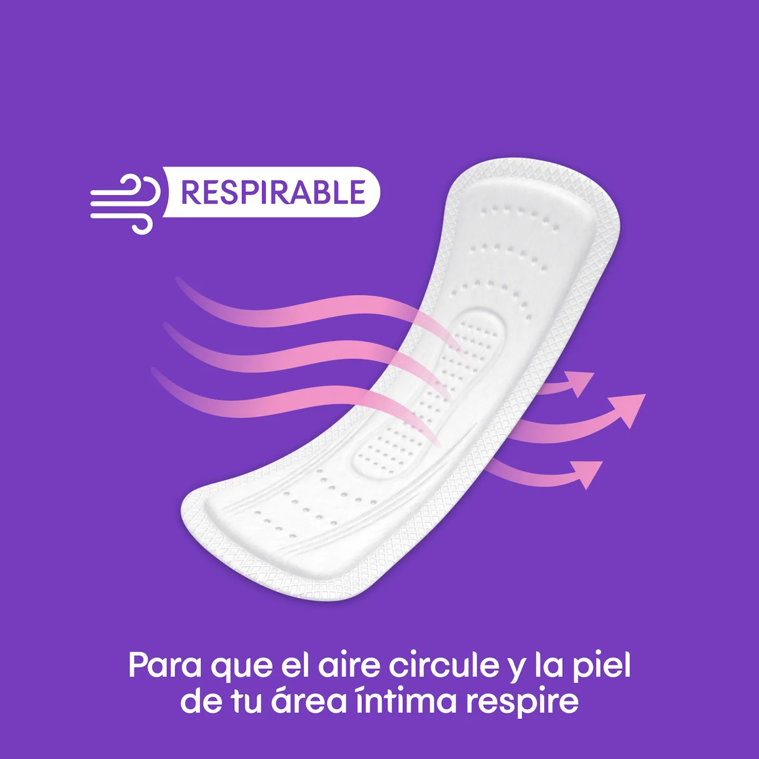 Protectores Diarios Kotex Largos 100u