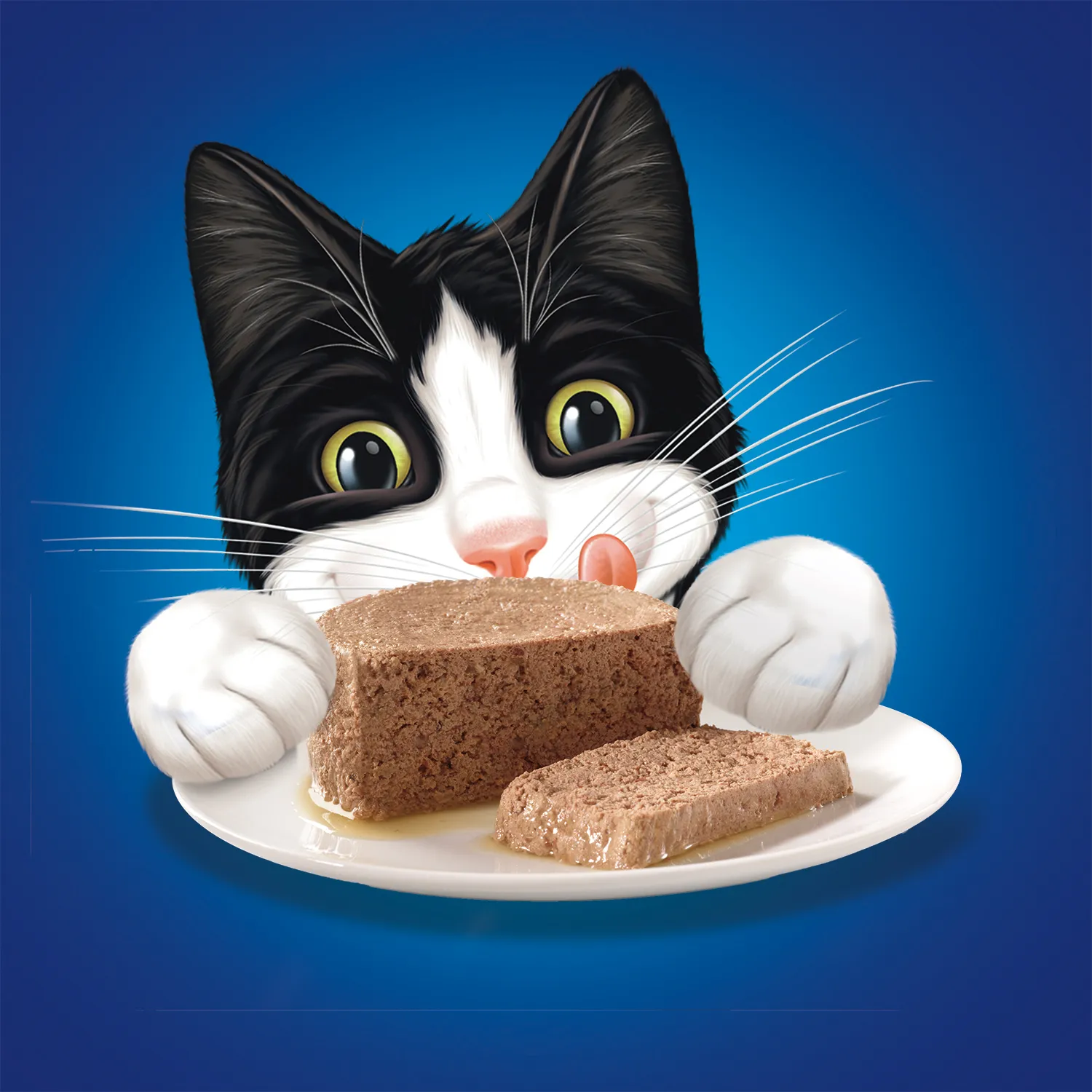 Alimento Húmedo Gato  Paté Salmón Felix Lata 156 G
