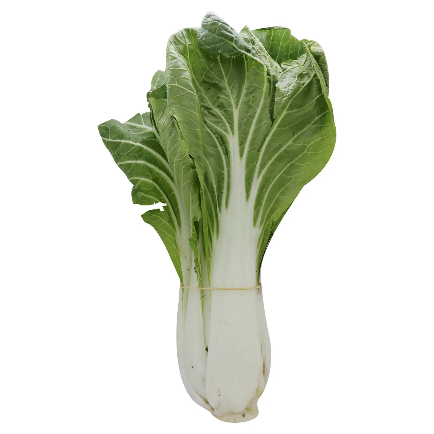 Lechuga Pak Choi Organica Auto Mercado Unid