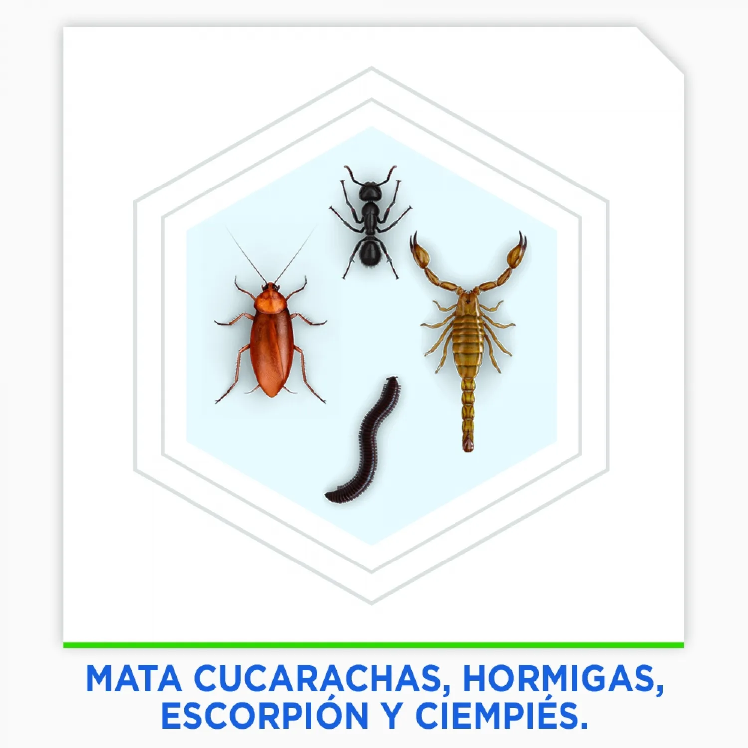 Insecticida Aerosol Rastreros Max Raid Lata 400 Ml