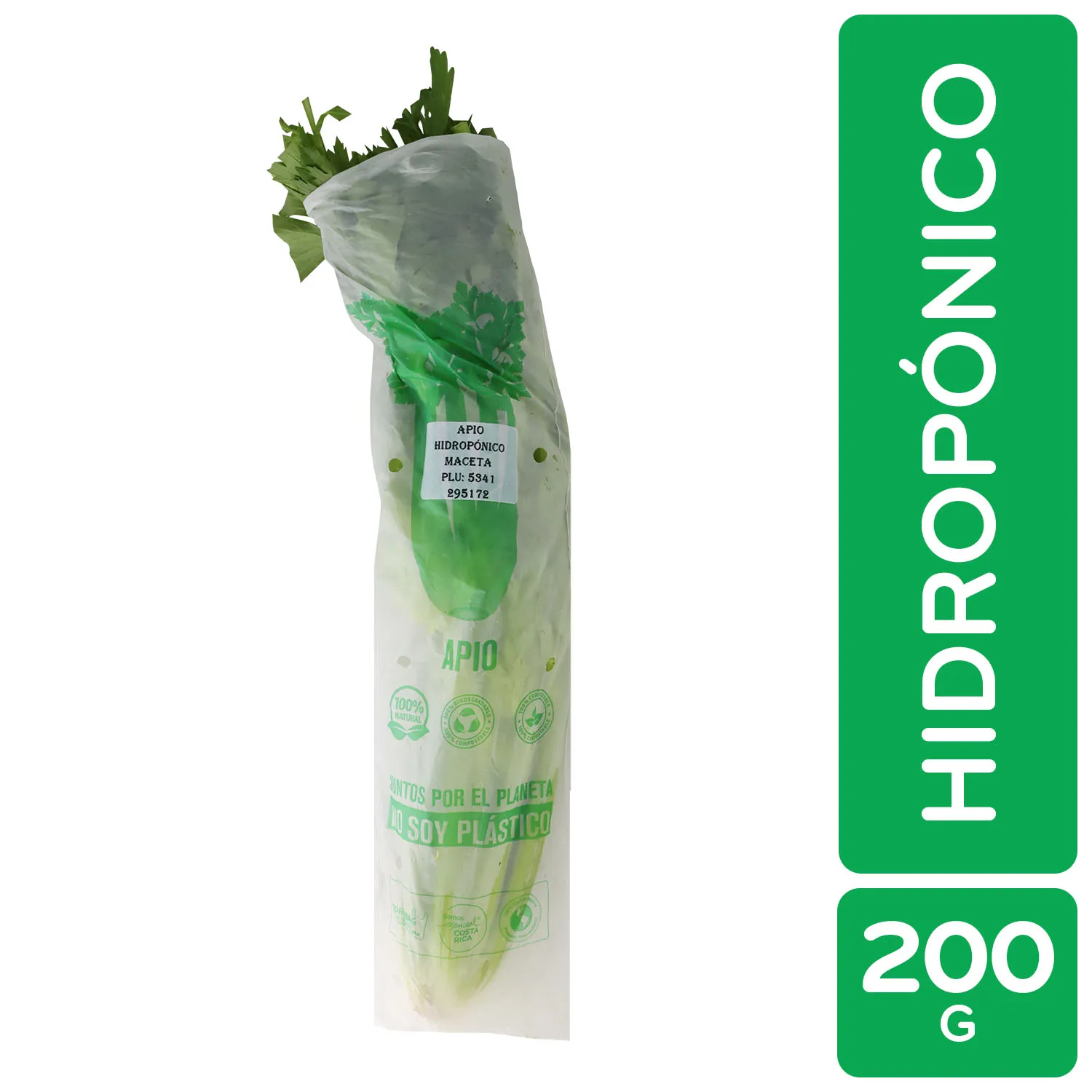 Apio Hidroponico Auto Mercado Paquete 200 G