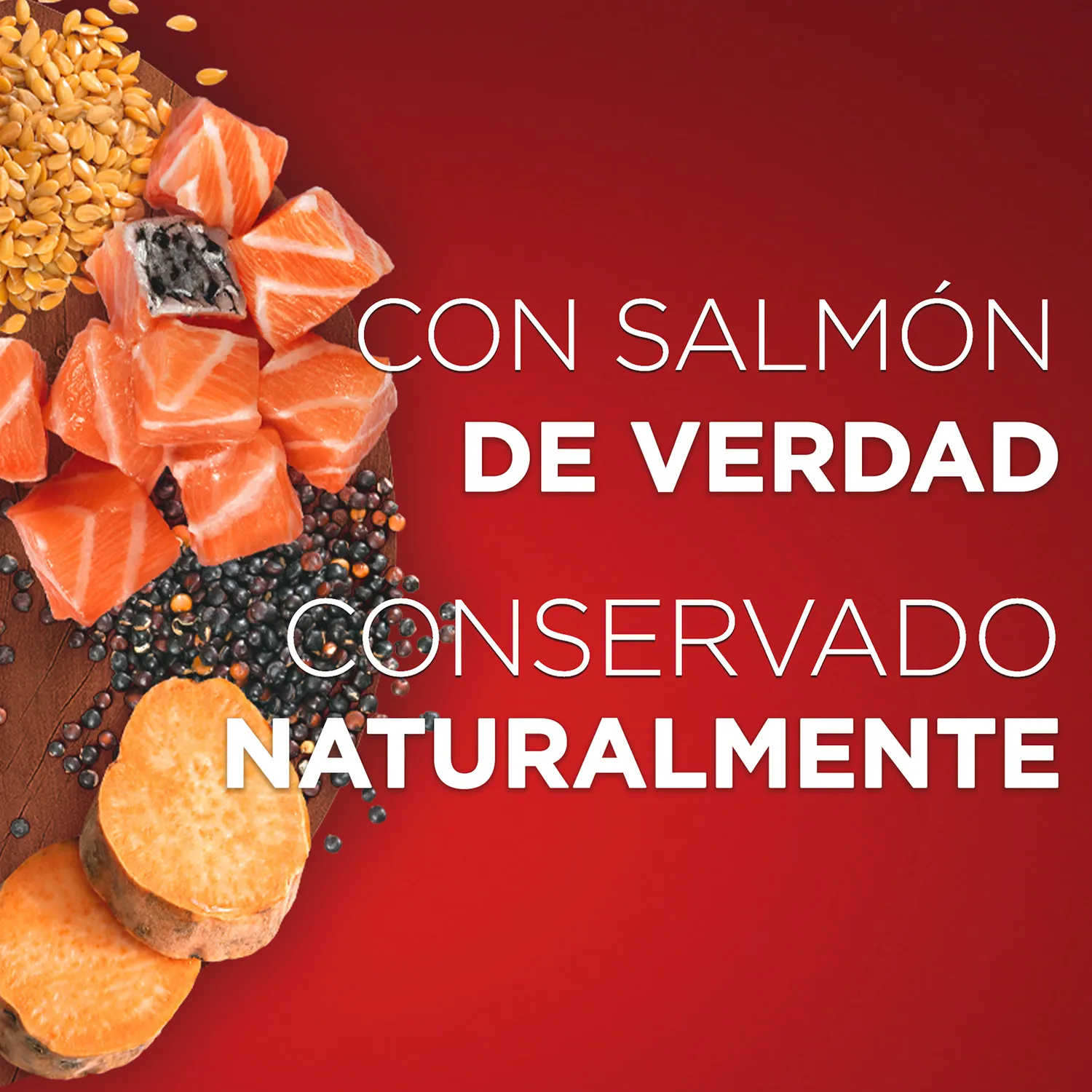 Alimento Perro Humedo Adulto Y Cachorro Salmon Toda Raza Purina One