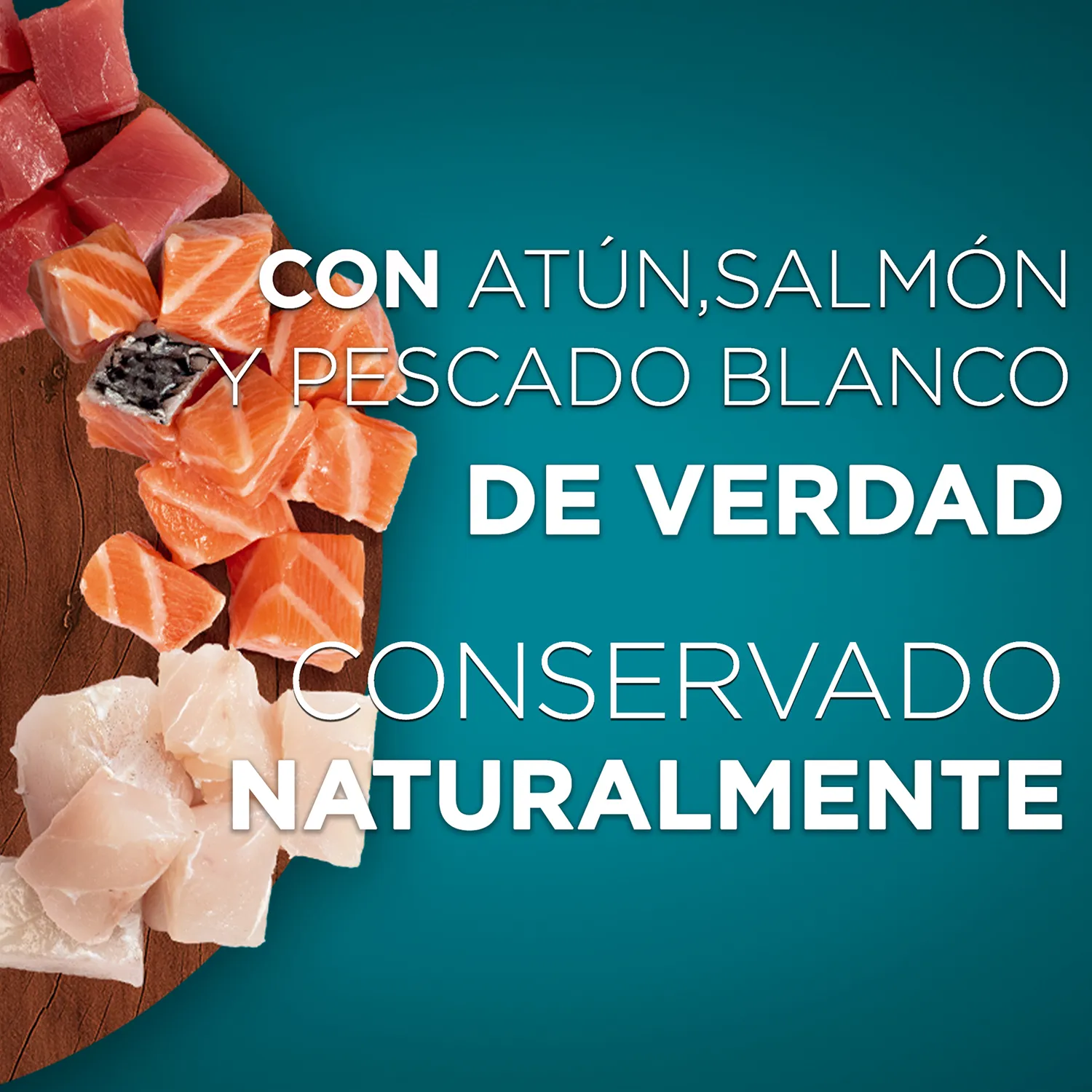 Alimento Gato Adulto Y Cachorro Humedo Salmon Y Atun Purina One