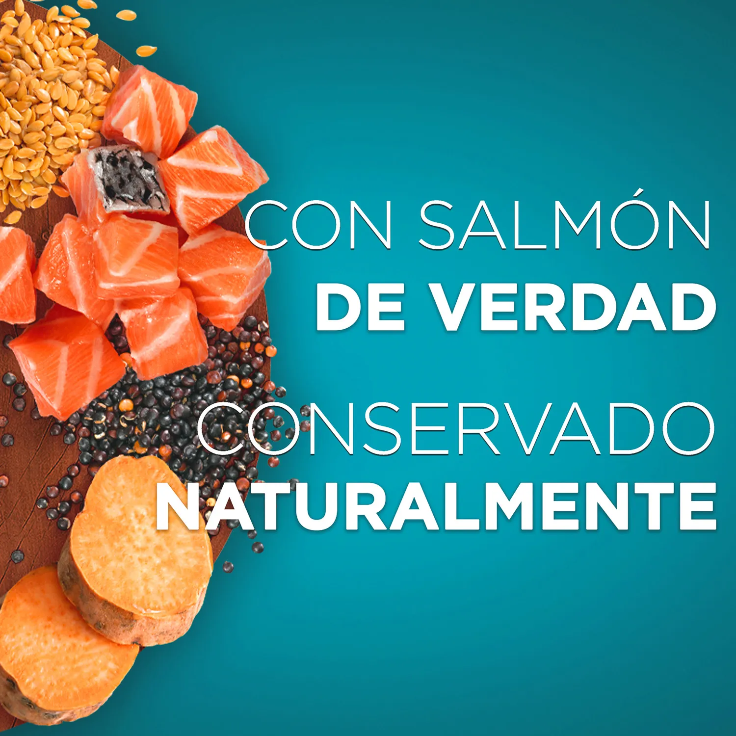 Alimento Gato Humedo Adulto Salmon Esterilizados Purina One