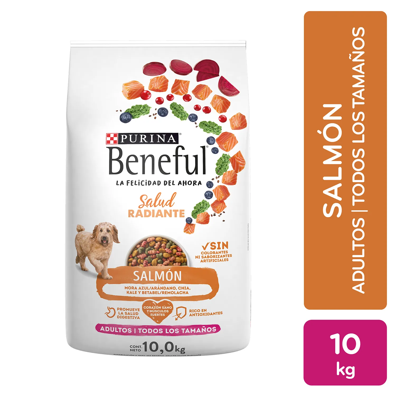 Alimento Seco Perro  Adulto Salmón Salud Radiante Purina Beneful Bolsa 10 Kg