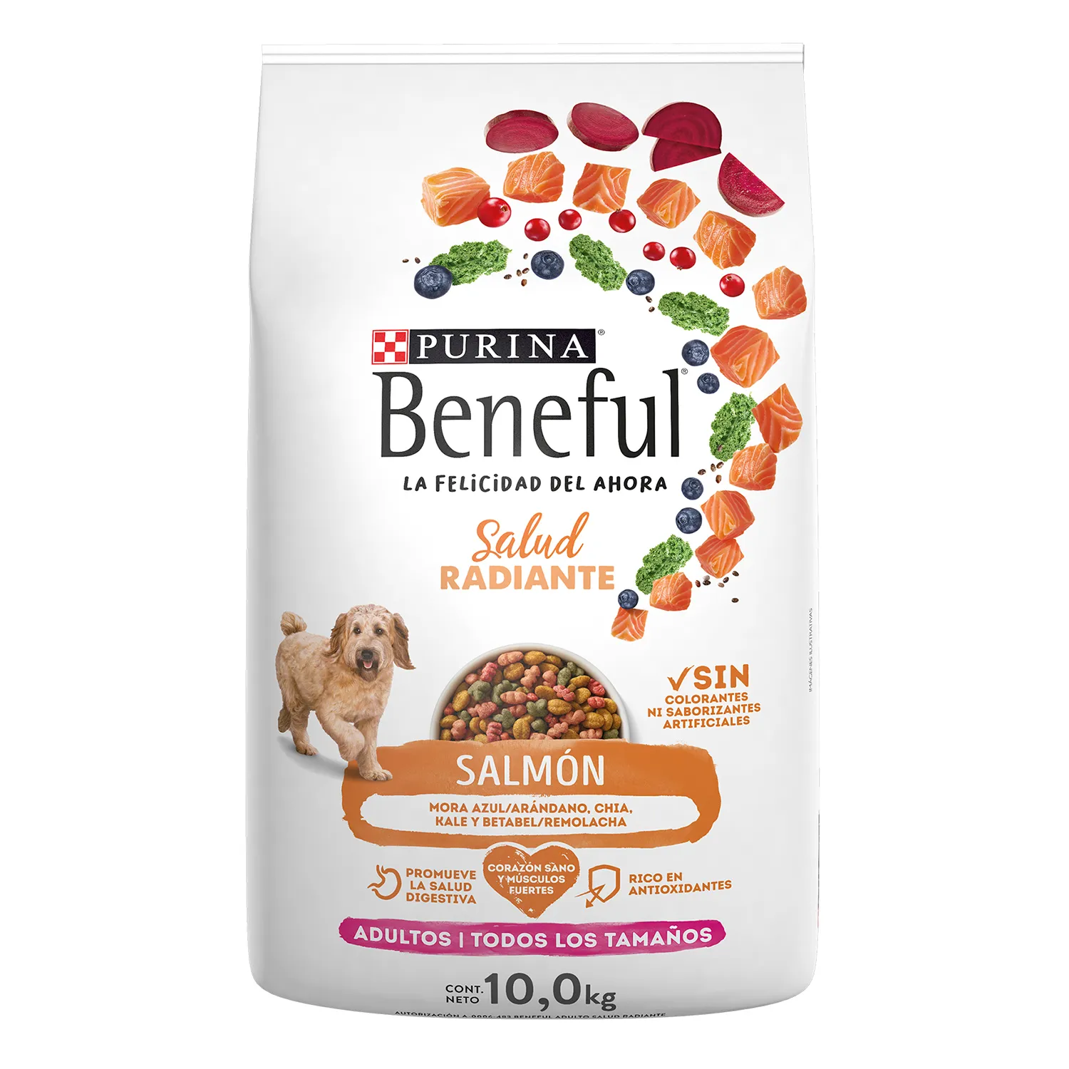 Alimento Seco Perro  Adulto Salmón Salud Radiante Purina Beneful Bolsa 10 Kg