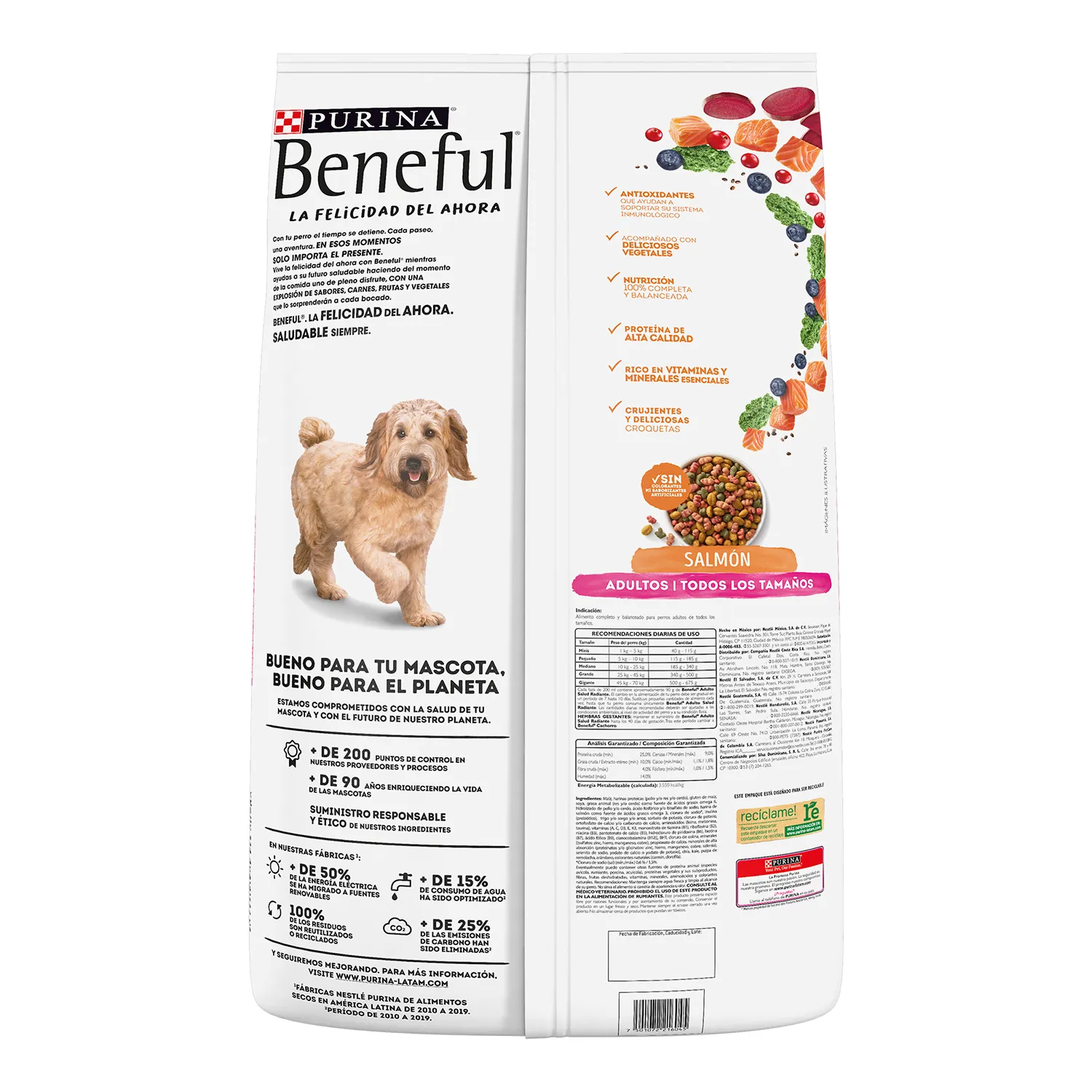 Alimento Seco Perro  Adulto Salmón Salud Radiante Purina Beneful Bolsa 10 Kg