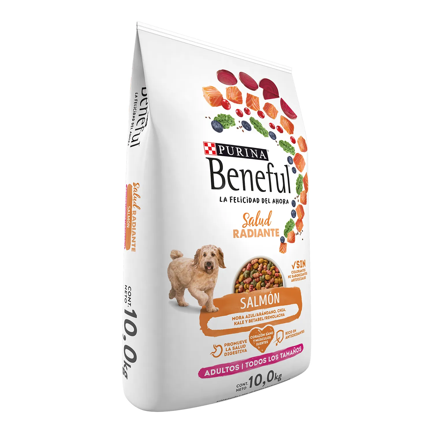 Alimento Seco Perro  Adulto Salmón Salud Radiante Purina Beneful Bolsa 10 Kg