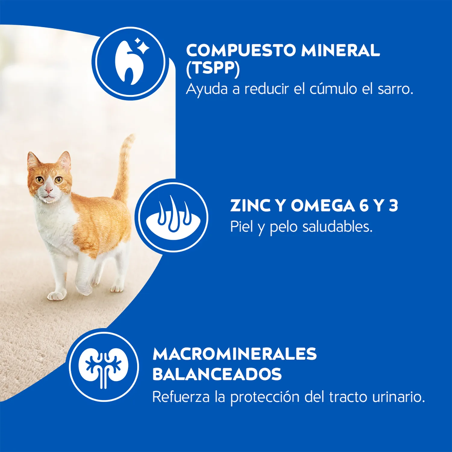 Alimento Gato Seco Adulto Pescado Purina Cat Chow