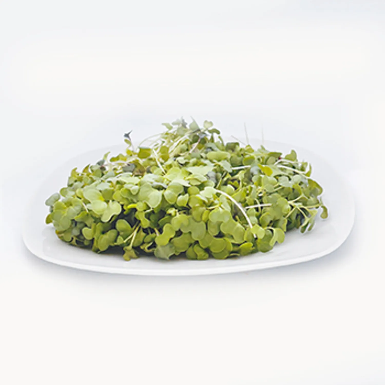 Microgreen Mixto Automercado