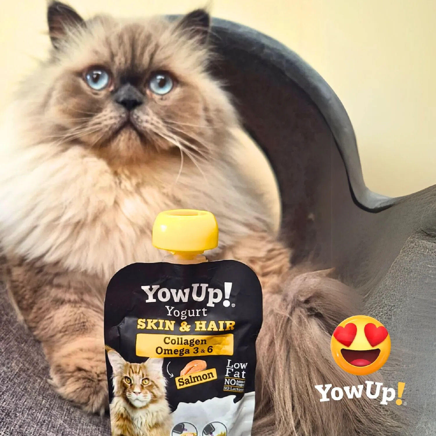 Bocadillo Gato Yogurt Salmon Sin Lactosa Yow Up!