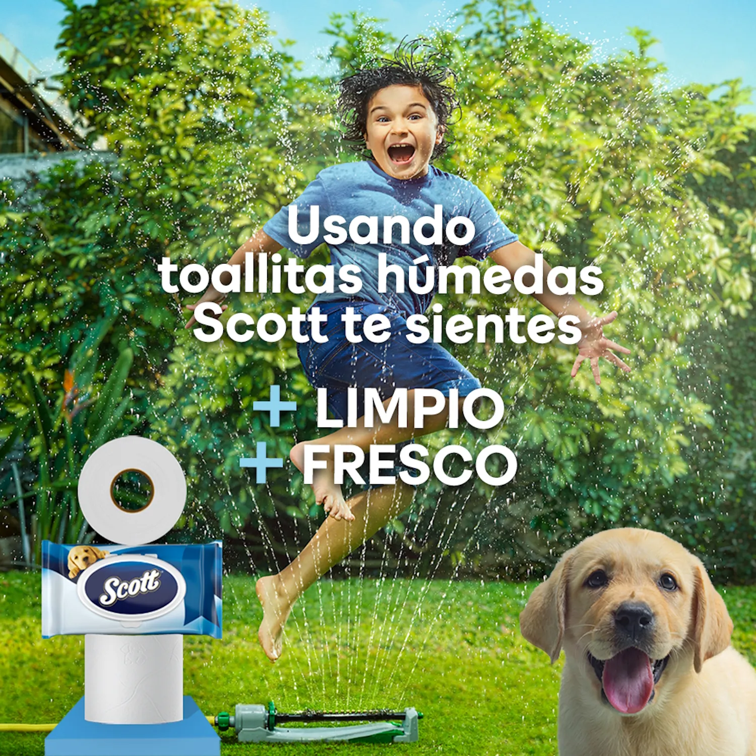 Papel Higiénico Húmedo Scott 144u