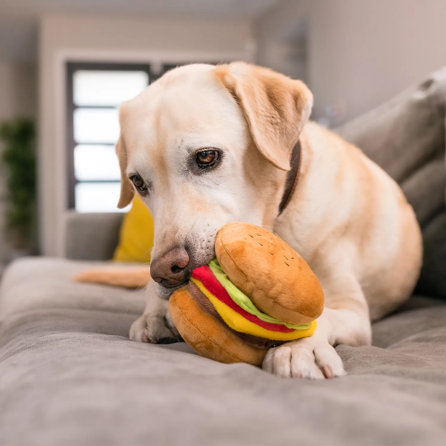 Peluche Hamburguesa Desarmable Con Sonido P.l.a.y