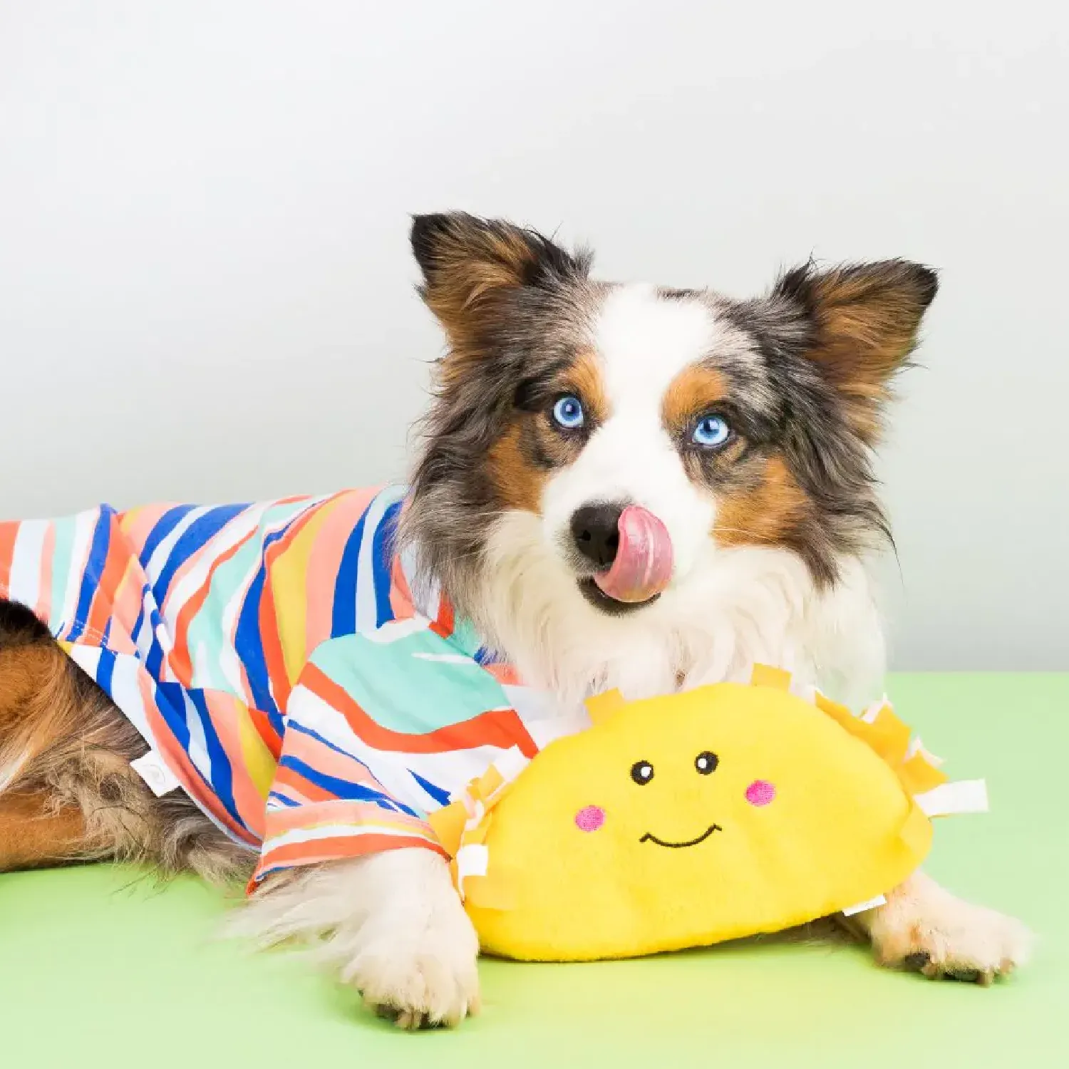 Peluche Perro Taco Zippy Paws