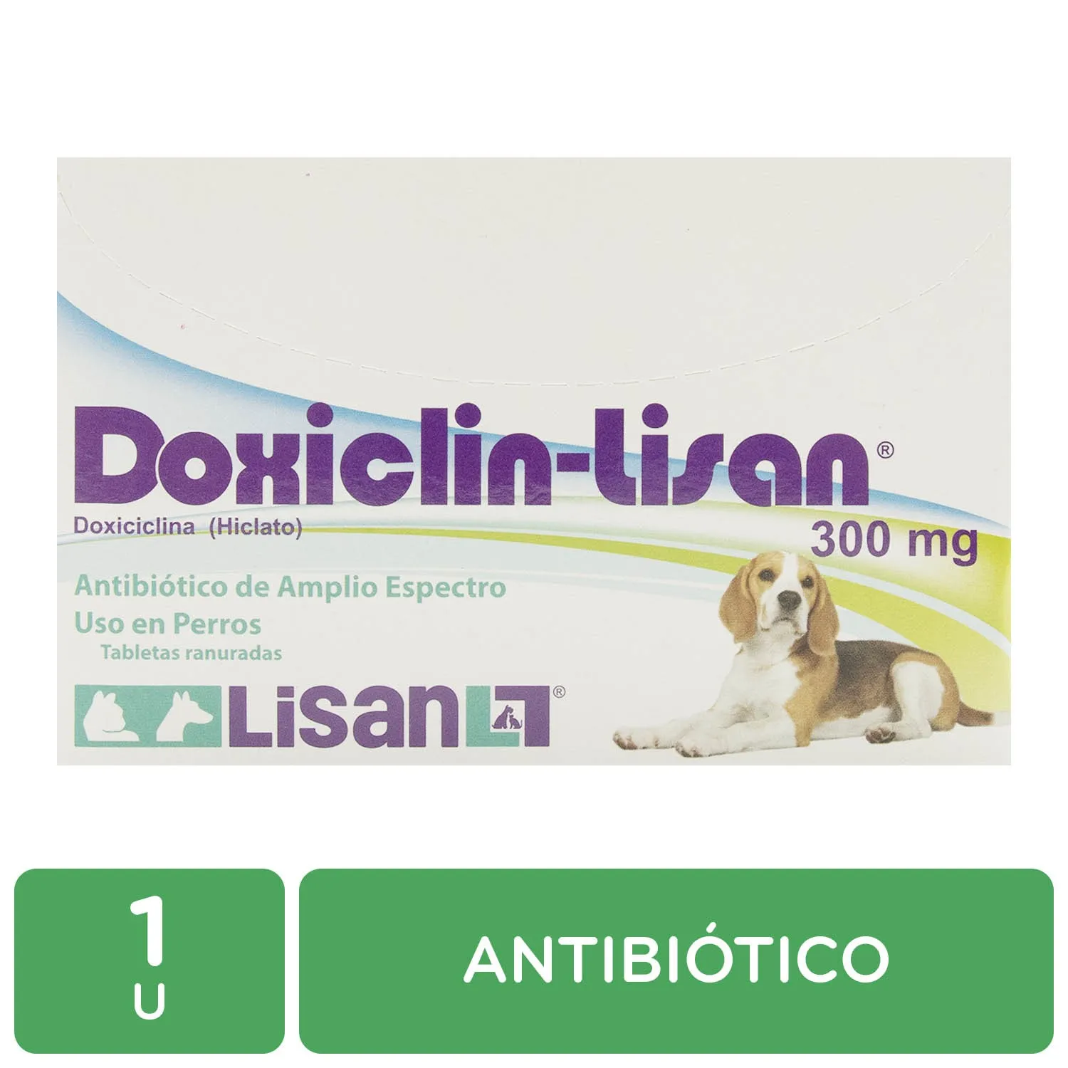 Antibiótico Pastilla 300 Mg Perro Doxicilin Lisan