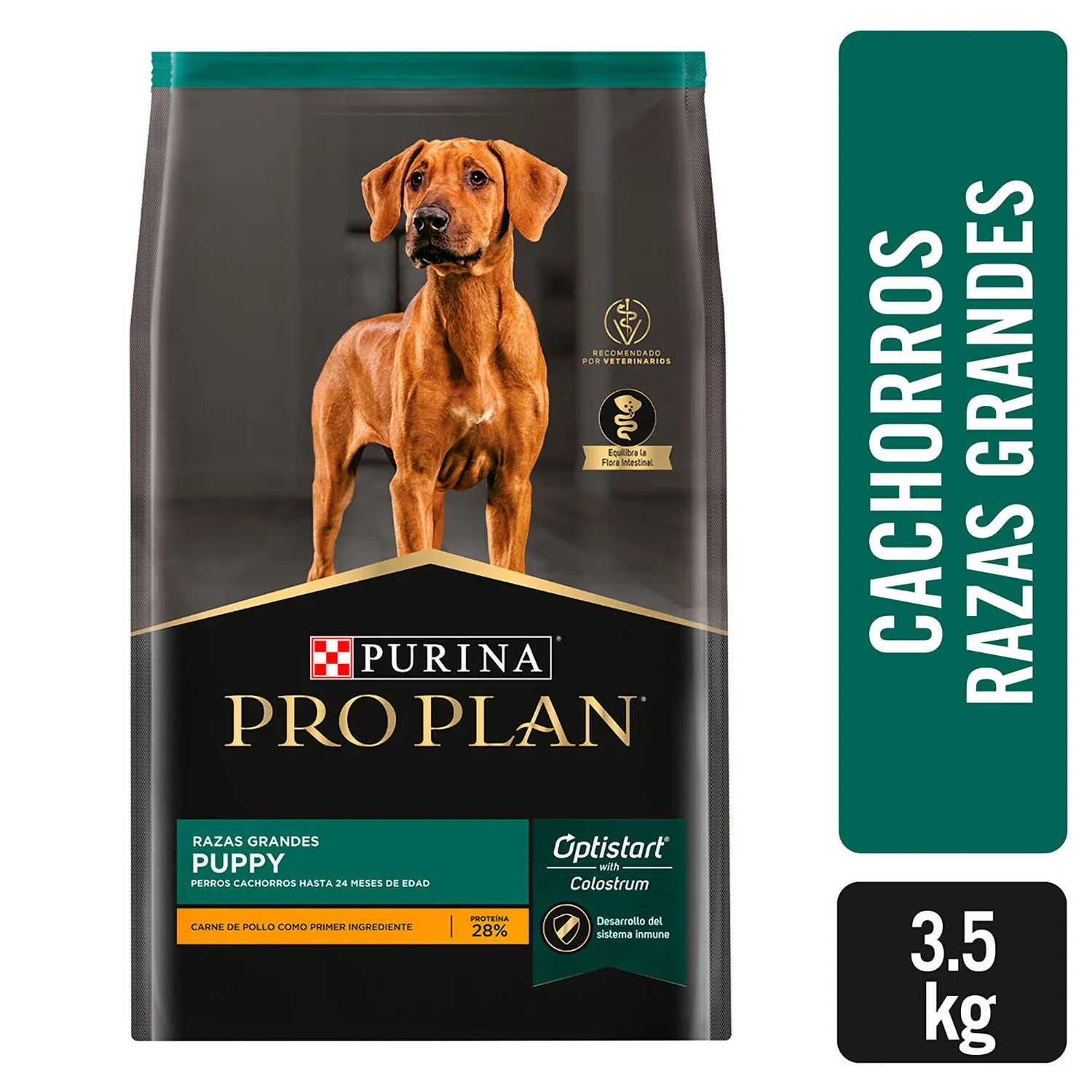 Alimento Perro Cachorro Seco Pollo Raza Grande Pro Plan