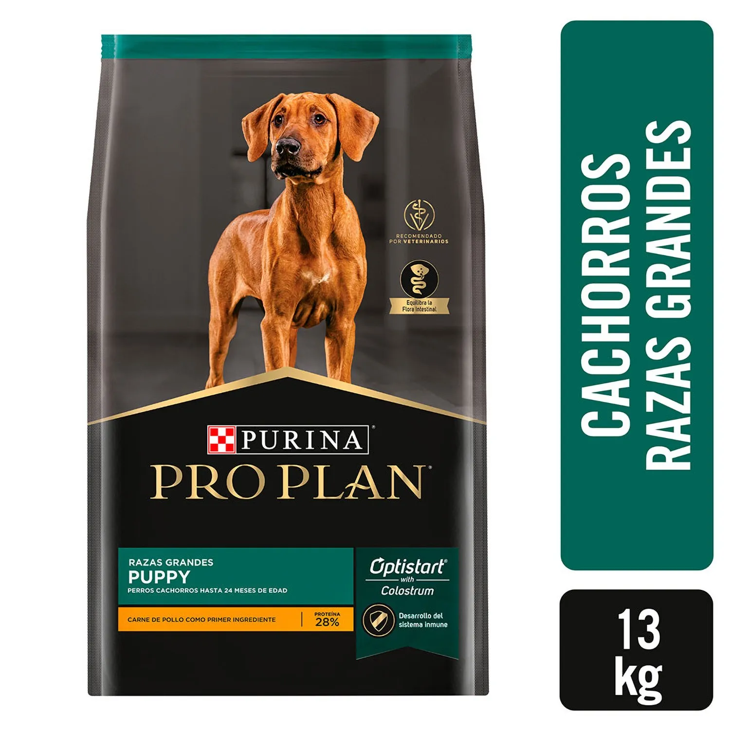 Alimento Perro Cachorro Seco Pollo Raza Grande Pro Plan