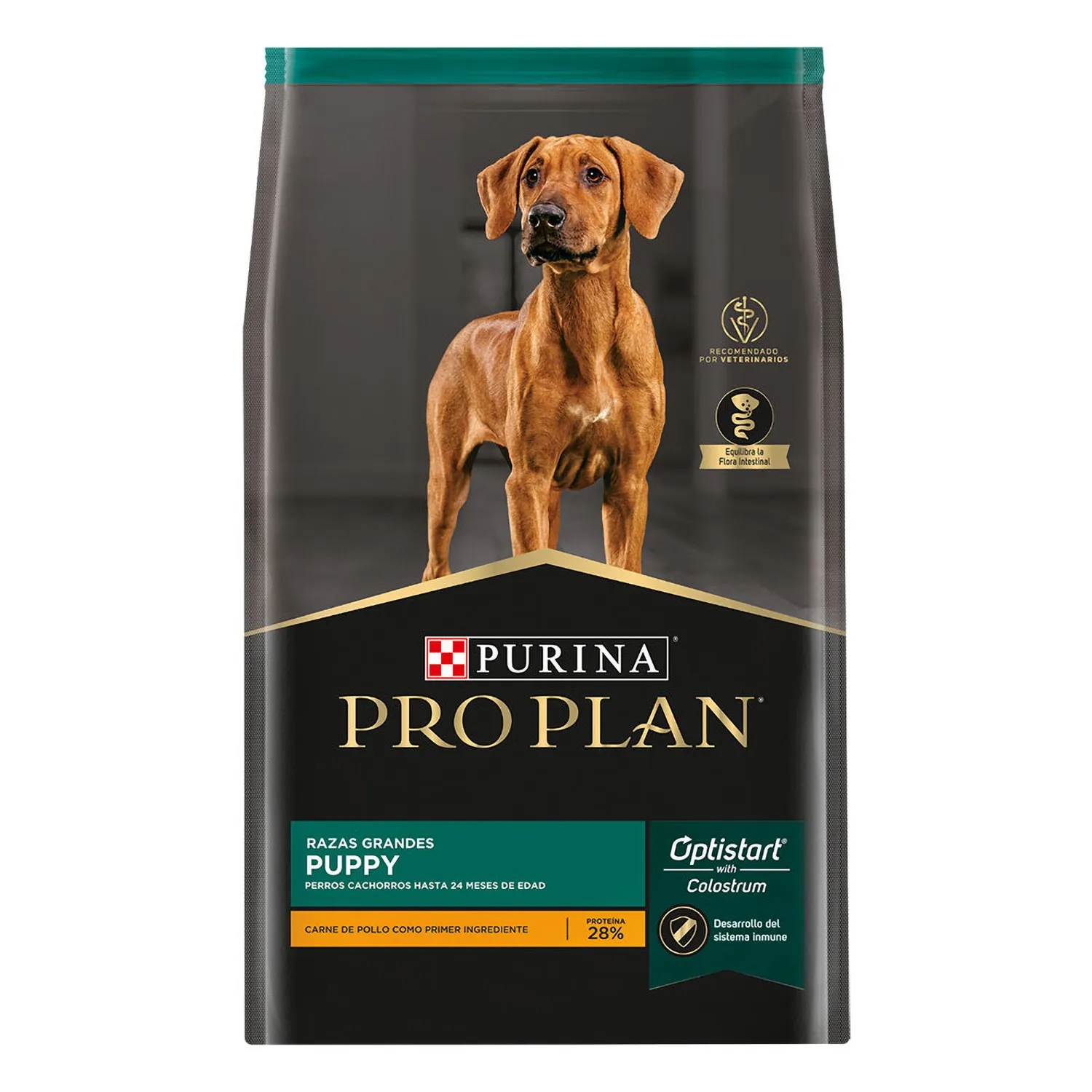 Alimento Perro Cachorro Seco Pollo Raza Grande Pro Plan