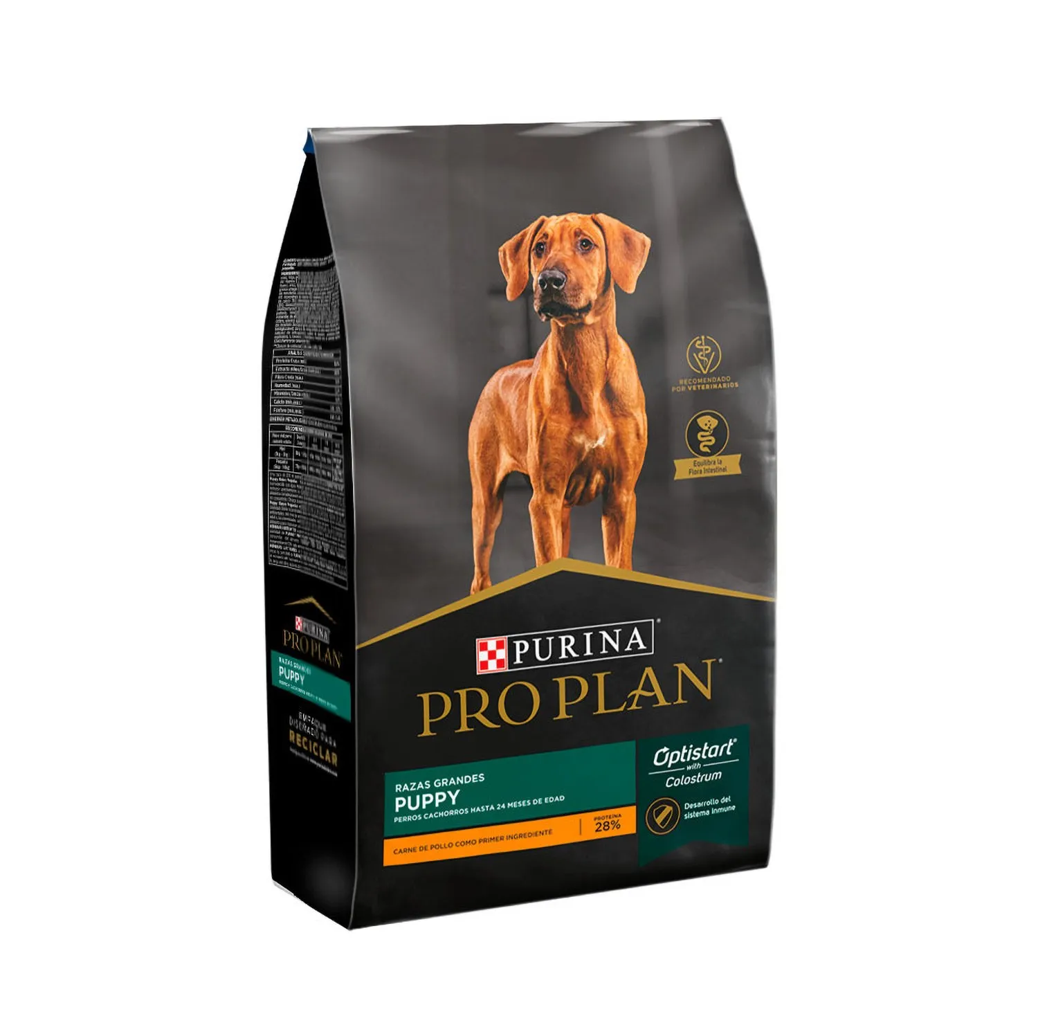 Alimento Perro Cachorro Seco Pollo Raza Grande Pro Plan