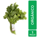 Culantro Organico Auto Mercado Rollo Unid