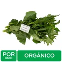 Espinaca Criolla Organica Auto Mercado Rollo Unid