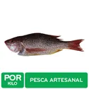 Pescado Pargo Entero Pesca Kilo Auto Mercado