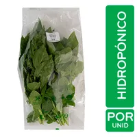 Albahaca Auto Mercado Unid