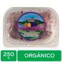 Mora Organica Auto Mercado Bandeja 250 G