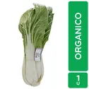 Lechuga Pak Choi Organica Auto Mercado Unid