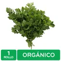 Perejil Italiano Organico Auto Mercado Paquete 40 G