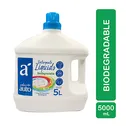 Detergente Liquido Bio Seleccion Auto Envase 5000 Ml