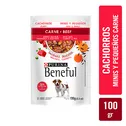 Alimento Perro Humedo Cachorro Carne Raza Pequeña Purina Beneful Paquete 100 G